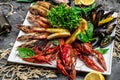 Seafood set. A plate full of cooked shrimp, fish, crayfish, mussels. banner, menu, recipe place for text, top view Royalty Free Stock Photo