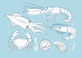 Seafood set. Prawns crab lobster shellfish shrimps. Outline vector sketch drawing