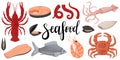 Seafood set. Raw squid, octopus, red fish, fillet,mussels, crab, crayfish, butchered squid, salmon steak.A collection in Royalty Free Stock Photo