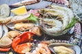 Seafood shellfish on ice frozen with shrimps prawns crab claws shell clam squids octopus and mussels at the restaurant Fresh raw Royalty Free Stock Photo