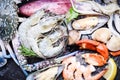 Seafood shellfish on ice frozen with shrimps prawns crab claws shell clam squids octopus and mussels at the restaurant Fresh raw Royalty Free Stock Photo