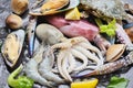 Seafood shellfish on ice frozen with shrimps prawns crab claws shell clam squids octopus and mussels at the restaurant, Fresh raw Royalty Free Stock Photo