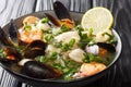 Seafood shellfish soup of mussels, Shrimps, clams and other shellfish typical chilean dish Paila marina or Mariscal close-up in a