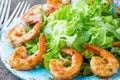 Seafood shrimp lettuce salad on blue plate