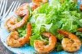 Seafood shrimp lettuce salad on blue plate Royalty Free Stock Photo