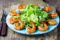 Seafood shrimp lettuce salad on blue plate Royalty Free Stock Photo