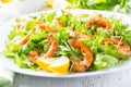 Seafood shrimp lettuce salad on white plate Royalty Free Stock Photo