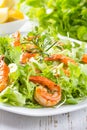 Seafood shrimp lettuce salad on white plate Royalty Free Stock Photo