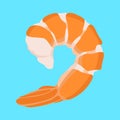 Seafood shrimp meat vector illustration flat style