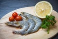 Seafood shrimps on cutting board / Fresh prawns ocean gourmet raw shrimp with tomato lemon and green parsley Royalty Free Stock Photo