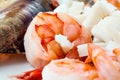 Seafood. Shrimps, octopus, and squid. Royalty Free Stock Photo