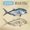 Seafood sketch of bluefish sign