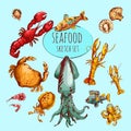 Seafood Sketch Colored