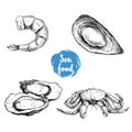 Seafood sketches set. Cooked grilled shrimp, opened mussel, oysters group and king crab. Sea market products collection. Vector i