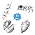 Seafood sketches set. Cooked grilled shrimps on bamboo stick, opened mussels, oyster and crab. Sea market products collection. Vec Royalty Free Stock Photo