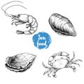 Seafood sketches set. Fresh shrimp, closed mussel and oyster, crab. Sea market products collection. Vector illustration