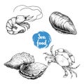 Seafood sketches set. Fresh shrimp, mussel, oysters, crab. Sea market products collection. Vector illustration Royalty Free Stock Photo