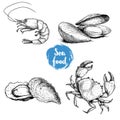 Seafood sketches set. Fresh shrimp, mussels and oysters, crab. Sea market products collection. Vector illustration