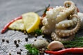 Seafood squid plate ocean gourmet dinner fresh tentacles of octopus with herbs and spices