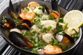 Seafood stew of shrimp, squid, mussels, fish, scallops in wine sauce close-up in a bowl. horizontal Royalty Free Stock Photo