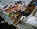 Seafood table at the Casablanca fishmarket, Morocco