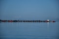 Seafood Trading Jetty. Fishermen trade their catch to this small community place where locals, including tourists, buy or eat them Royalty Free Stock Photo