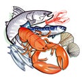 Seafood types illustration