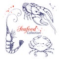 Seafood vector collection. hand drawn engraved seafood element in vintage style with ink splatter isolated on white. realistic Royalty Free Stock Photo