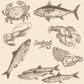 Seafood vector illustration 1