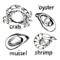 Seafood vector illustrations set, hand drawn sea food sketch collection - crab, oyster, mussel, shrimp Royalty Free Stock Photo