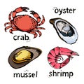 Seafood vector illustrations set, hand drawn sea food sketch collection - crab, oyster, mussel, shrimp Royalty Free Stock Photo