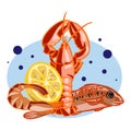 Seafood vector sea fish shellfish and lobster in fishmarket illustration Royalty Free Stock Photo