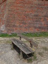 Oldl bench and original wall with local flora and faunaSeaford East Sussex