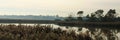 Seaford wetlands panorama