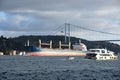 Cargo ship in istanbul