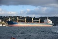 Cargo ship in istanbul