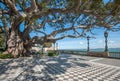 Seafront in Cadiz, Andalusia, Spain