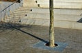 Seafront with plane trees growing out of the lattice in the pavement. a beige concrete staircase serves as a theater bench overloo