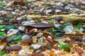 Seaglass Beach - Bermuda Royalty Free Stock Photo