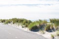 Seagrass, beach and sand dunes