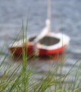 Seagrass Boat 2