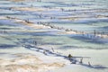 Seagrass plantation detail, Nusa Lembongan, Bali, Indonesia Royalty Free Stock Photo