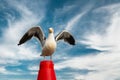 Portrait of Seagull With Its Wings Open, Cloudy Blue Sky Background, Copy Space, Freedom Concept Royalty Free Stock Photo