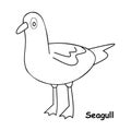 seagull line illustration animal vector Royalty Free Stock Photo