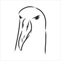 Seagull Albatross bird in flight with open wings sketch vector graphics black and white drawing