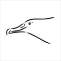 Seagull Albatross bird in flight with open wings sketch vector graphics black and white drawing