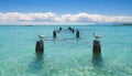 Seagull - Anse de Saint Anne - Guadeloupe Royalty Free Stock Photo