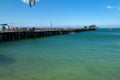 Seagull attacks drone, Harford Pier at Port San Luis harbor