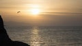Seagull on a background of sunset, sea. Cefalu, Sicily, Italy