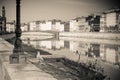 Seagull on banks of Arno river - toned image Royalty Free Stock Photo